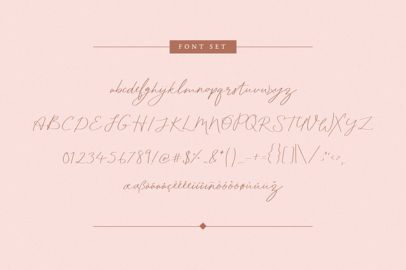 Bloomday Script Font in Script Fonts - product preview 5