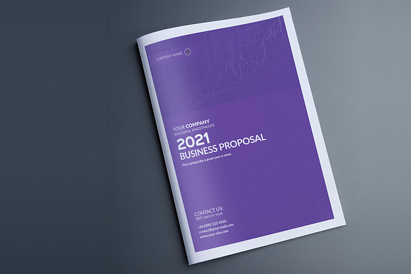 Rudanstudio Proposal Template in Brochure Templates - product preview 15
