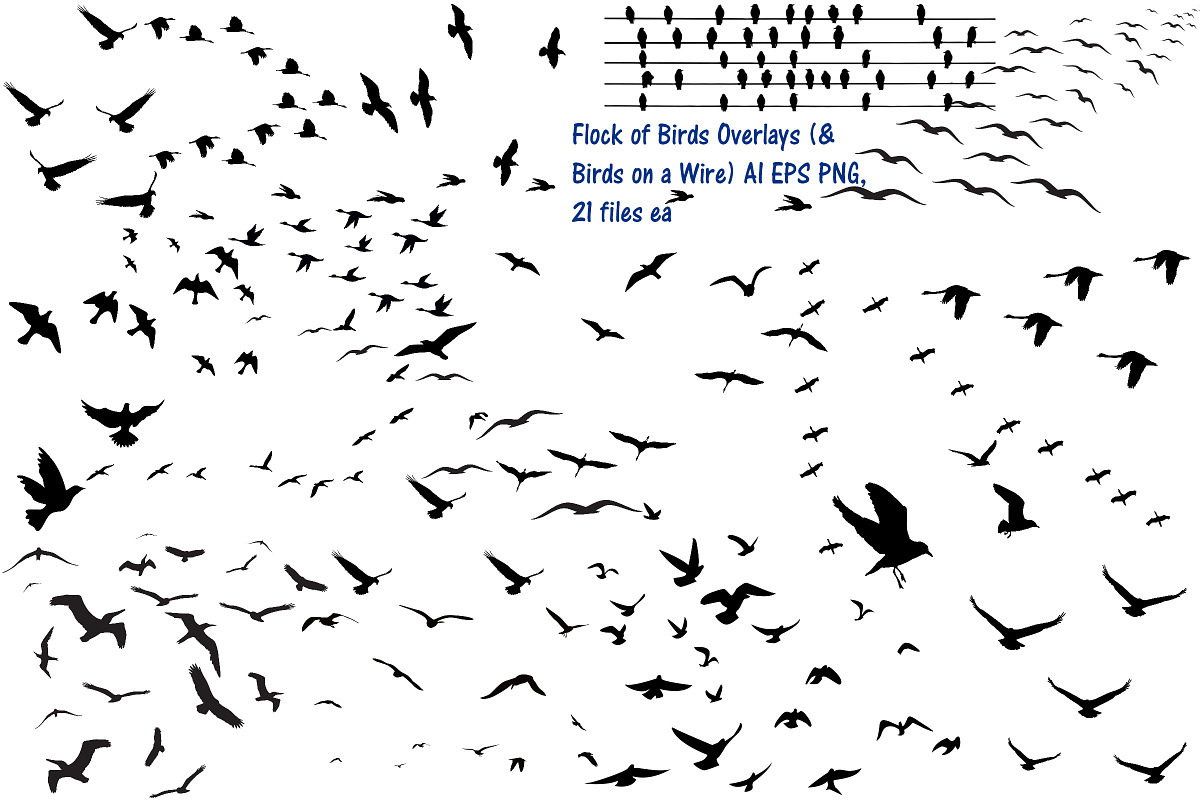 Flock of Birds Overlay AI EPS PNG in Illustrations - product preview 8