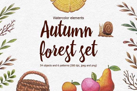Autumn forest set in Illustrations - product preview 6