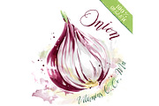 Fresh raw red onion, organic food