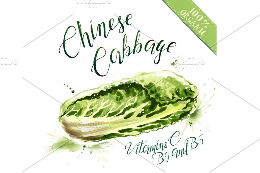 Fresh raw chinese cabbage, organic