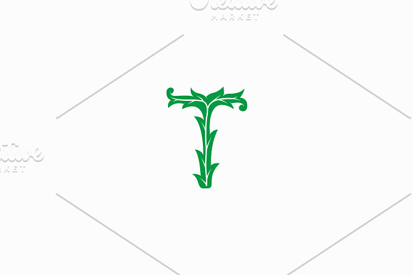 T Leaf Logo in Logo Templates - product preview 3