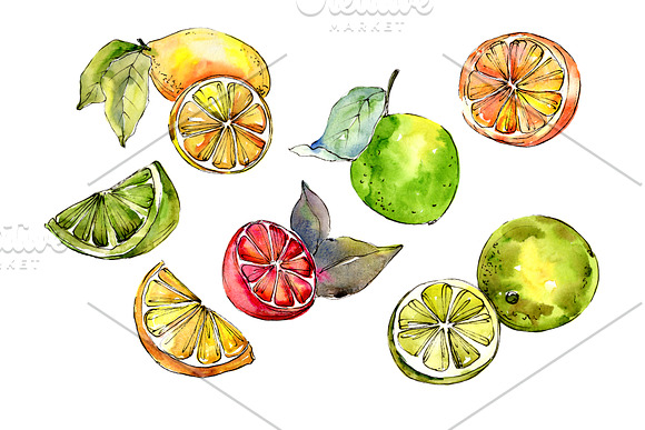 Fruit buffet buffet watercolor png in Illustrations - product preview 1