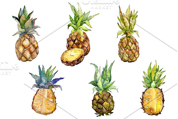 Fruit buffet buffet watercolor png in Illustrations - product preview 2