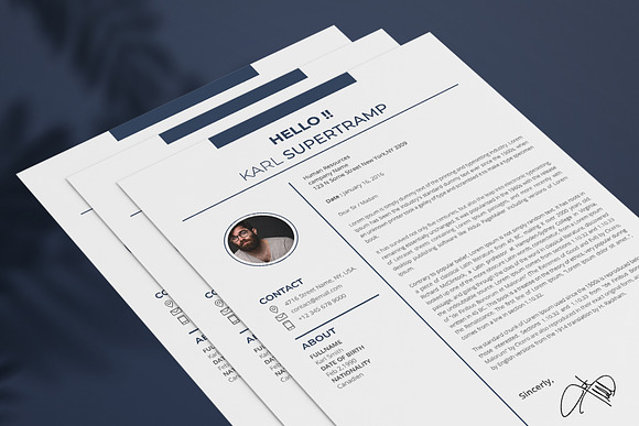 MS Word Resume in Resume Templates - product preview 4