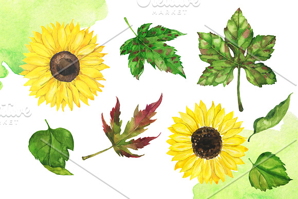 Autumn watercolor collection in Illustrations - product preview 4