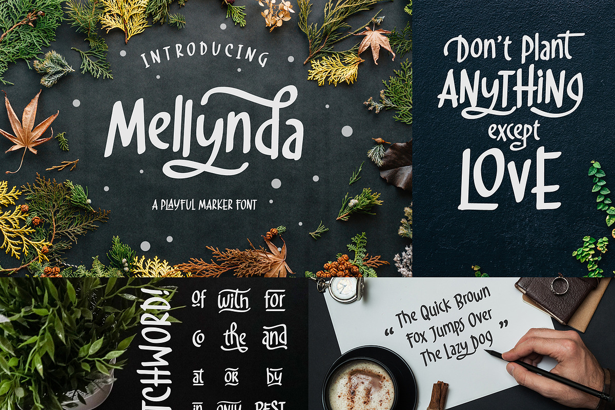 Font Bundle 2019 | 93%OFF in Display Fonts - product preview 18