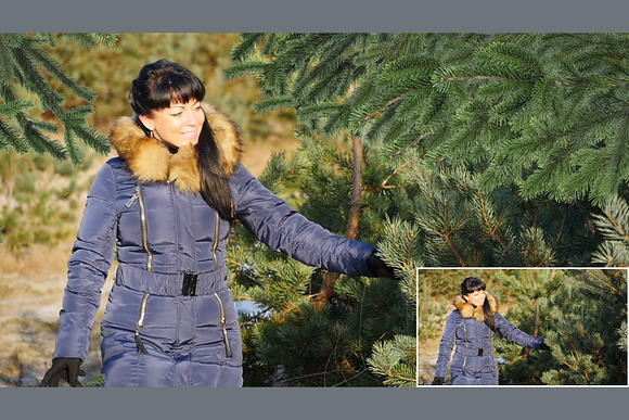 Shooting Through Fir Tree Branches in Objects - product preview 1