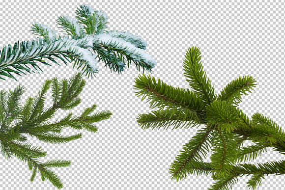 Shooting Through Fir Tree Branches in Objects - product preview 3