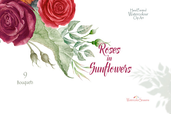 Roses in Sunflowers Collection in Illustrations - product preview 1