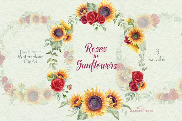 Roses in Sunflowers Collection in Illustrations - product preview 2