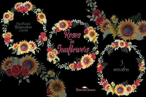 Roses in Sunflowers Collection in Illustrations - product preview 4