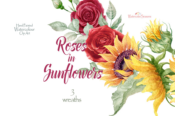 Roses in Sunflowers Collection in Illustrations - product preview 5