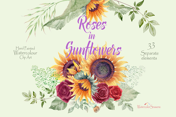 Roses in Sunflowers Collection in Illustrations - product preview 7