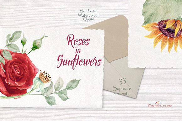 Roses in Sunflowers Collection in Illustrations - product preview 9
