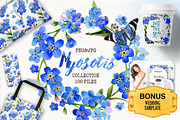 Myosotis flowers blue  PNG