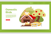Domestic birds landing page template