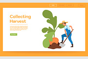 Collecting harvest landing page