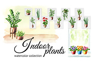Indoor plants. Watercolor collection