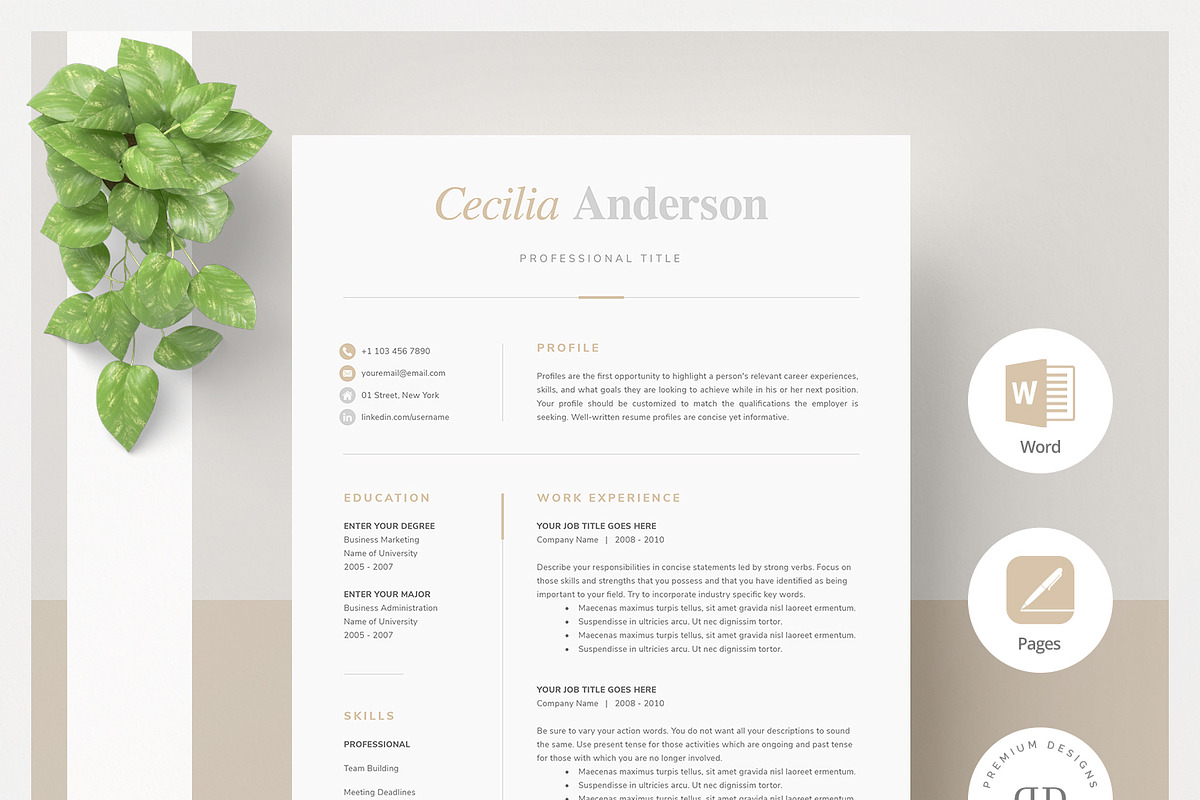 Modern 2 Page Resume Template in Resume Templates - product preview 8