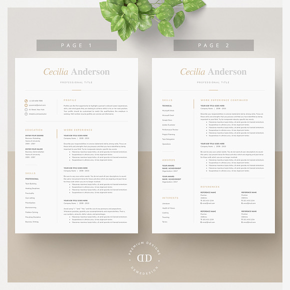Modern 2 Page Resume Template in Resume Templates - product preview 1