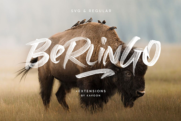Berlingo SVG in Script Fonts - product preview 11