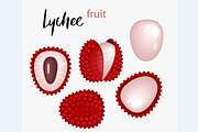 Lychee fruit vector set