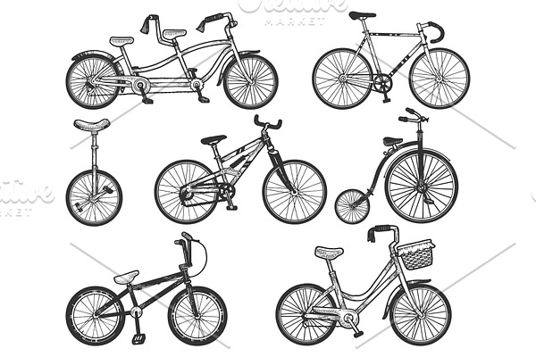 Bicycle set sketch engraving vector