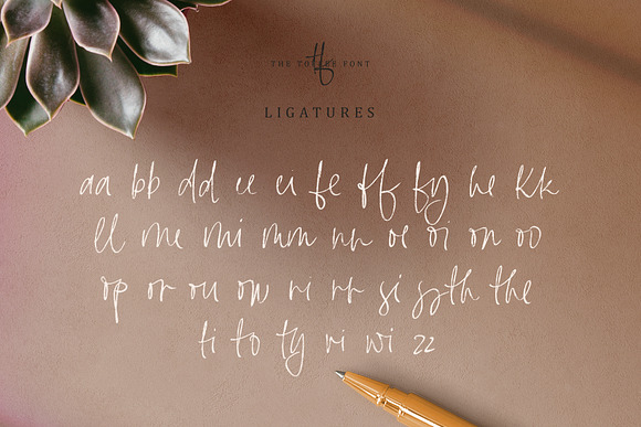Toffee Handwritten Font & Extras in Script Fonts - product preview 3