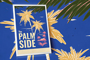 The Palm side
