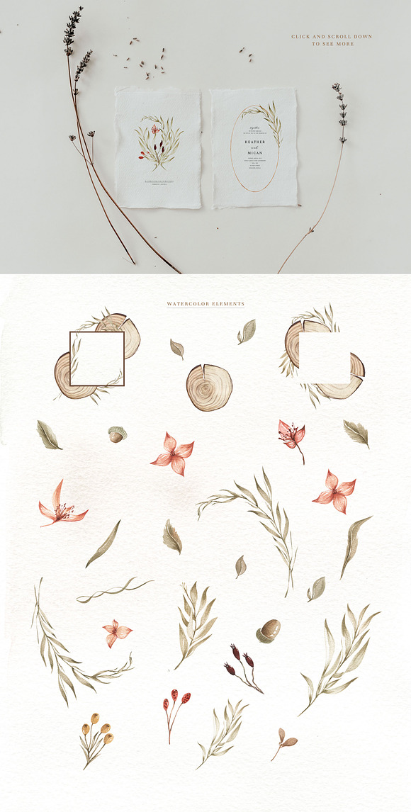 Watercolor Forest Leaves in Illustrations - product preview 3