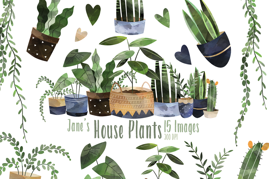 Watercolor House Plants Clipart in Illustrations - product preview 8