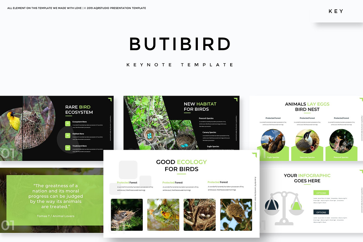 Butibird - Keynote Template in Keynote Templates - product preview 8