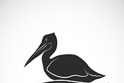 Vector of Spot-billed pelican bird.