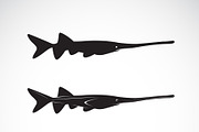 Vector of american paddlefish.Animal