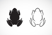 Vector of frogs design. Amphibian.