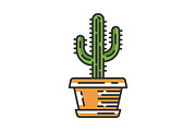 Saguaro cactus in pot color icon
