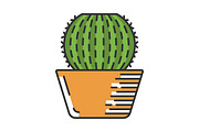 Barrel cactus in pot color icon