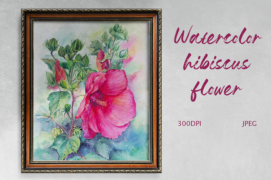 Watercolor hibiscus flowers botanica
