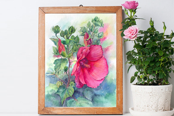 Watercolor hibiscus flowers botanica in Illustrations - product preview 1
