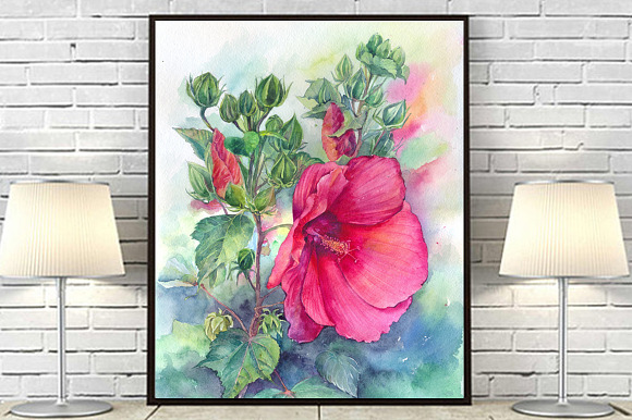 Watercolor hibiscus flowers botanica in Illustrations - product preview 2