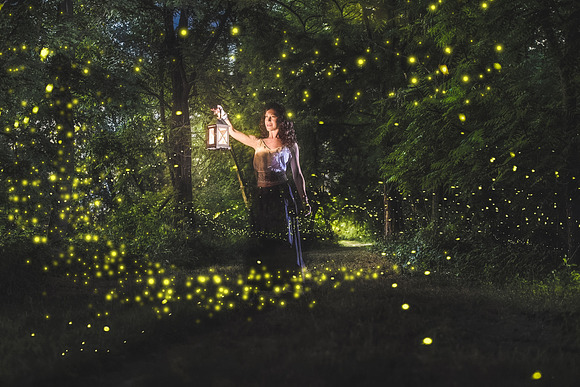 Firefly overlays, fireflies overlay in Objects - product preview 1