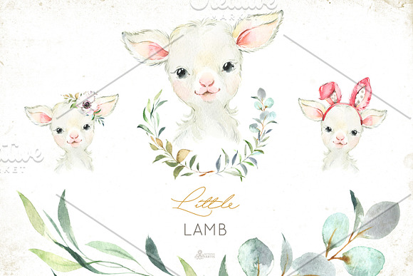 Farm. Little Watercolor Animals in Illustrations - product preview 5