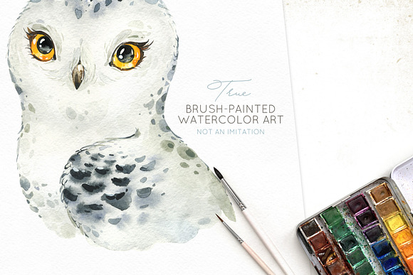Snowy. Little Watercolor Animals in Illustrations - product preview 5