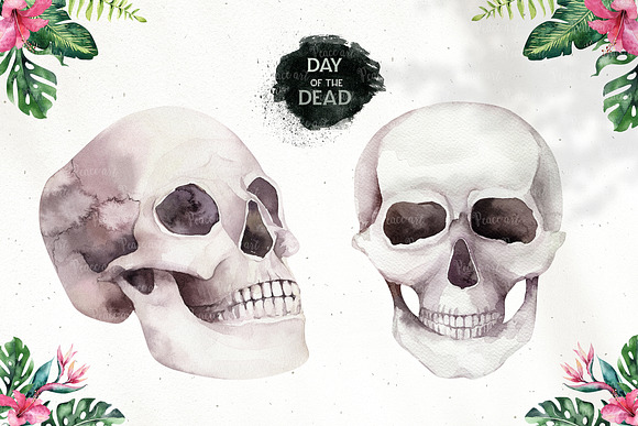 Tropical Day of the Dead in Illustrations - product preview 3