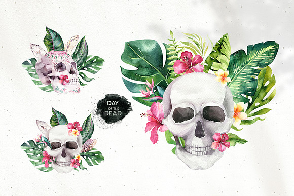 Tropical Day of the Dead in Illustrations - product preview 8