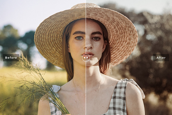 Brownie Lightroom Presets Pack in Add-Ons - product preview 5