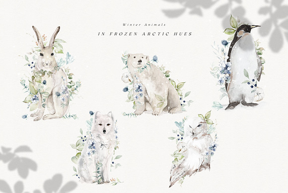 Arctic Winter Atelier in Illustrations - product preview 4
