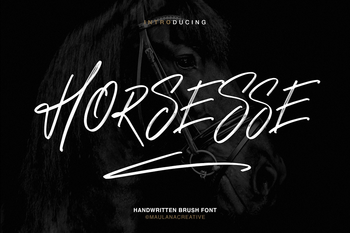 Horsesse Brush Font in Display Fonts - product preview 8